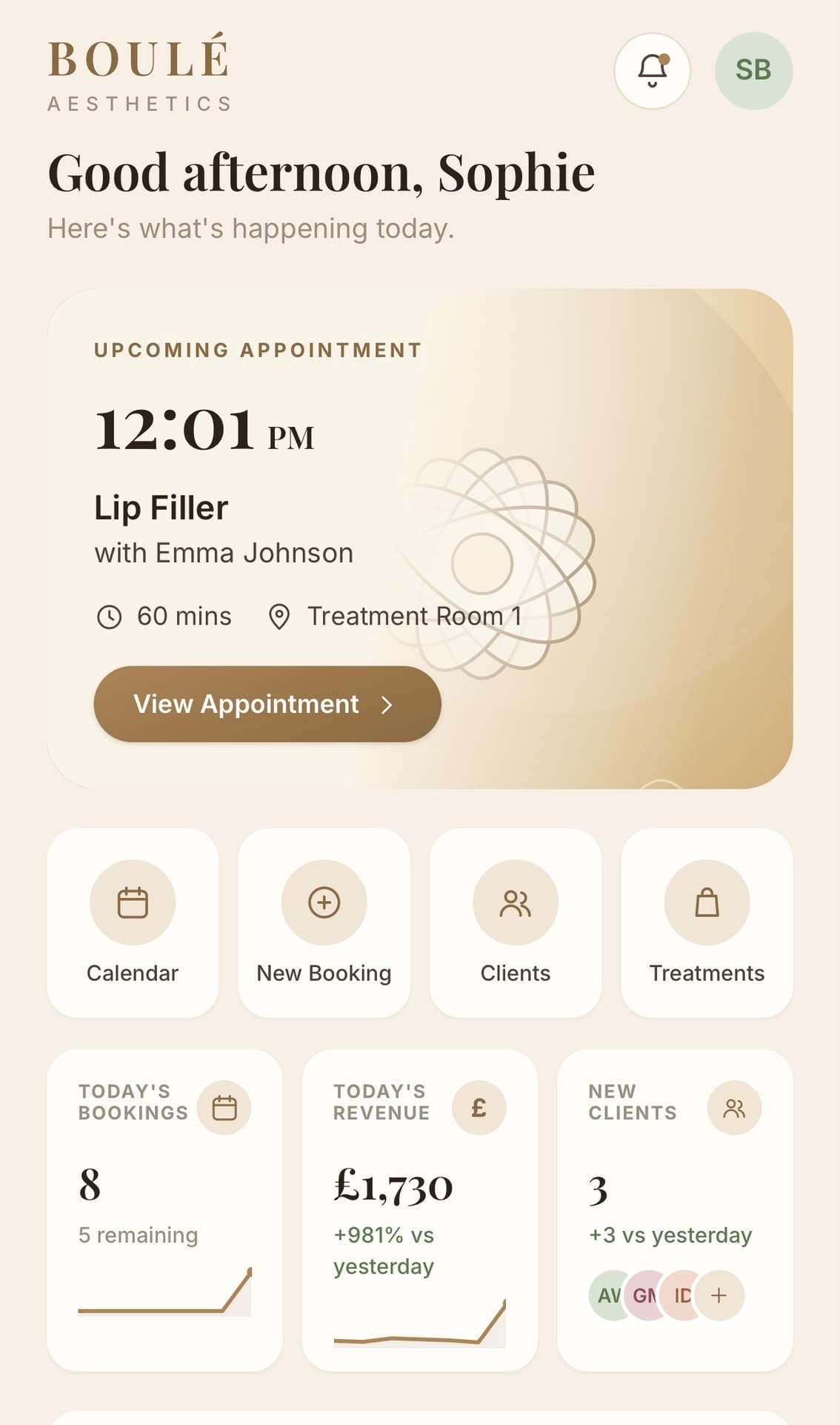 Boulé Aesthetics dashboard home screen